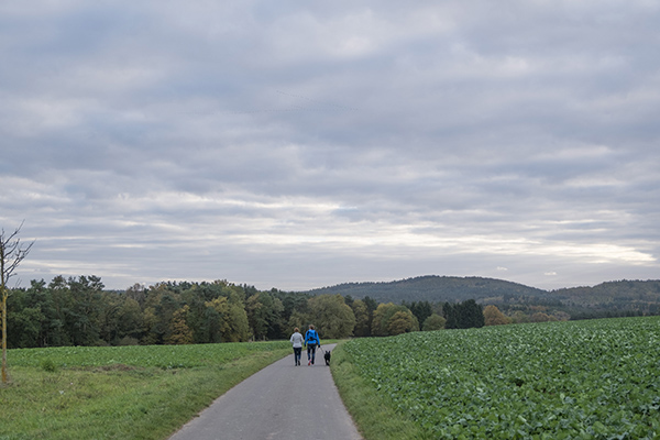 Photograph of typical German walking path, this one just outside Mehlingen.